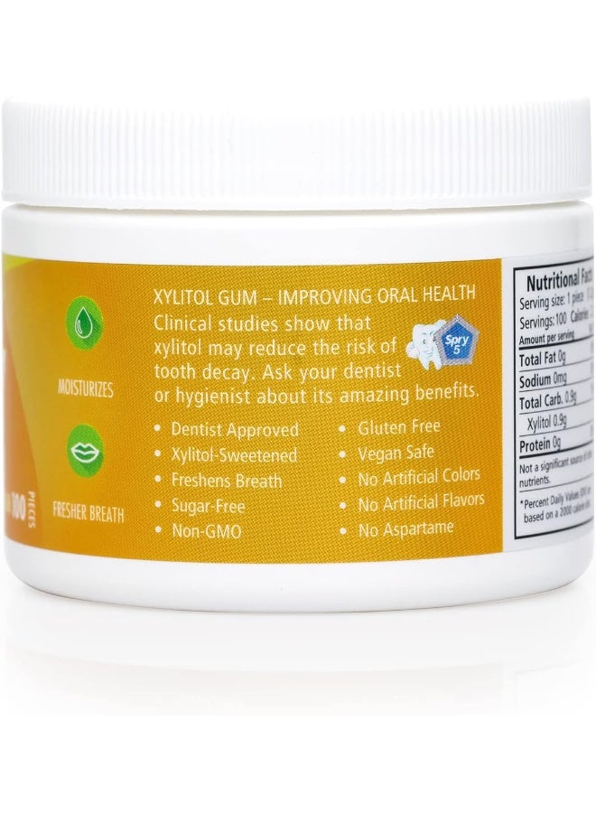 Spry Fresh Natural Xylitol Chewing Gum Dental Defense System - Aspartame-Free, Sugar-Free, Non-GMO, Gluten-Free (Fresh Fruit, 100 Count - Pack of 1) - Image 2